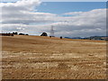 Fields and pylons by Huntly farm, Longforgan