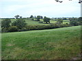 Fields looking towards Holt Farms