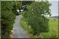 The Ballydrummon Road near Castlewellan