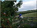 Clwyd Special Riding School, Llanfynydd