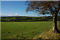 View south from near Cae-common