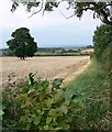 Countryside north of East Midlands Airport