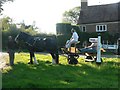 Horse and cart having a break