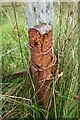 NR6418 : Old Fence Post. by Steve Partridge