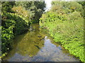 River Lee in Harpenden