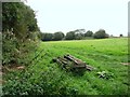 Hall Farm, sheep pasture