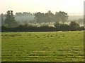 Farmland, Burchetts Green