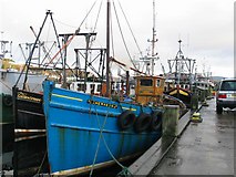 NR8668 : Fishing vessel Shemaron. by Johnny Durnan