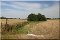 Footpath to Sible Hedingham