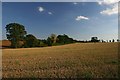 Fields near RAF Wethersfield