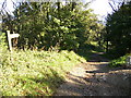 The Cleveland Way near Frank Cliff