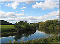 SO5538 : River Wye - Upstream from Hampton Bishop by Pauline E