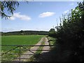 Farm access track  near Nant-y-gollen