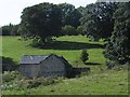 Field barn below Llyn Rhuddwyn