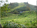 Hillside near Pont Twrch