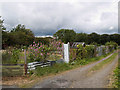 Allotments at Saltburn