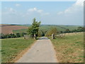 Lane to Trencreek Farm