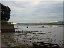 SX9687 : Low  tide on the Exe by Chris Denny