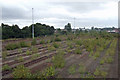 Former Marshalling Yard, Scunthorpe