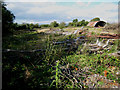 Derelict site near Adfa