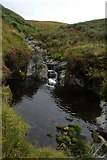 SN8759 : Pool in the stream in the Pant Glas valley by Philip Halling