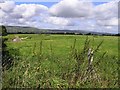 Tamnvaskey Townland