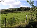 Lisnamuck Townland