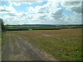 Farmland at Clovelly Cross