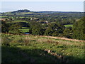 Farms in the Marshwood Vale