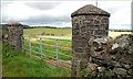 Gate near Castlewellan