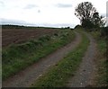 Track beside the Downiemoor Burn