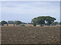 Tractor doing its thing at Markswood Farm