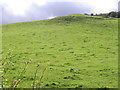 Steep grazing at Holehouse