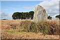 Standing Stone