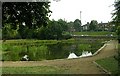 Pond - off York Road