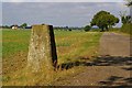 Trig Point Near Holts Farm