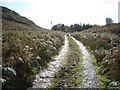 Approaching Bendoran Cottage from the north