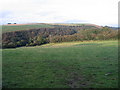 Cae Porfa ger Digoed / Grazing Field near Digoed