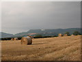 Plenty of straw for the horse.