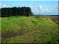 Track Near Beckhead