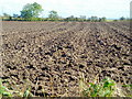 NY1469 : Ploughed Field at Kelhead by Iain Thompson