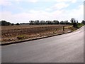 Farmland looking southeast from Northwold Road