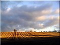 Winter fields