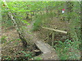 Footbridge in Parrott