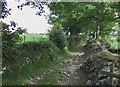 Green Lane, Nant Carfan, Ceredigion