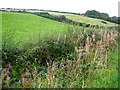 Hillside Below Bankend Hill