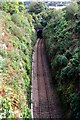 Railway Cutting near Luxulyan