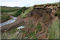 River Bank Erosion