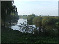 River Ouse between Beninborough Park and Newton on Ouse