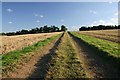 Byway to Wilsummer Wood